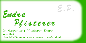 endre pfisterer business card